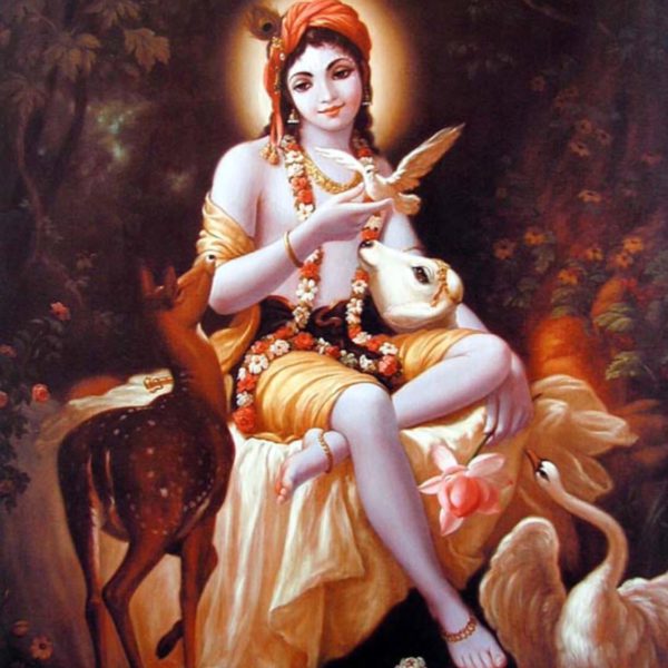 Varuthini Ekadashi (Tamil) / வருத்தினி ஏகாதசி